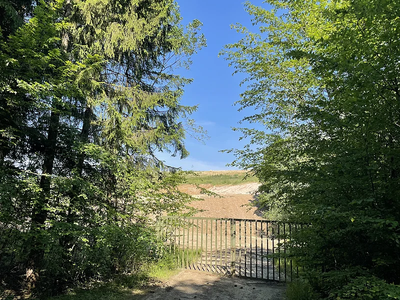Metallgatter vor einem Waldweg, dahinter eine offene Fläche unter blauem Himmel. Das Bild zeigt die Einfahrt zur Erdaushubdeponie der Stadt Monheim