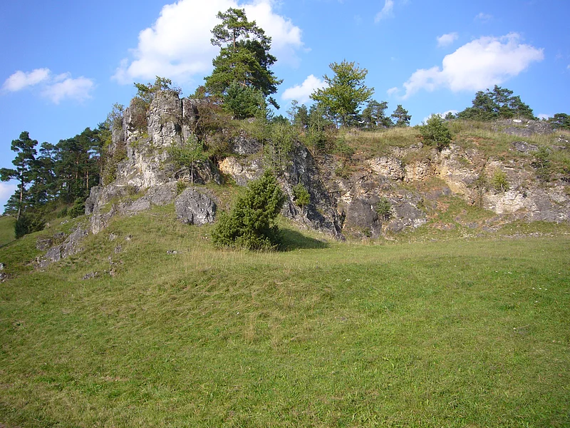 An einem Hang ist eine große bewachsene Felsformation zu sehen. Vor, auf und hinter den Felsen wachsen mehrere Büsche und Bäume.