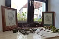 Bleistiftskizzen von Hans Mayer Zwei gerahmte Zeichnungen auf einem Fensterbrett mit Zweigen, Rinde und Früchten davor dekoriert.