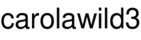 carolawild3